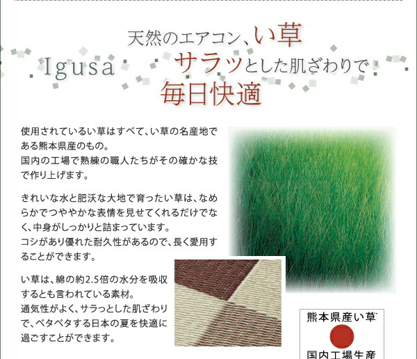 自然素材ラグ 厚みが選べる3タイプ 純国産ブロック柄い草ラグ ウレタン12mm 261×352cm