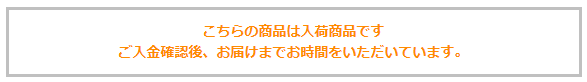 【送料無料】貴族 ドレス ステージ衣装 舞台衣装 オペラ声楽 中世貴族風 お姫様ドレス 宮廷 お嬢様 貴族ドレス パーティー 中世 ドレス