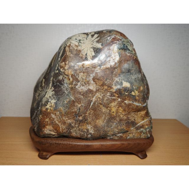 白菊 11.2kg 菊花石 菊紋石 紋石 花紋石 原石 鑑賞石 自然石 水石置石