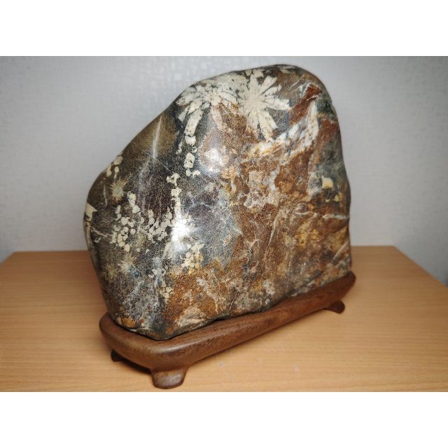 白菊 11.2kg 菊花石 菊紋石 紋石 花紋石 原石 鑑賞石 自然石 水石置石