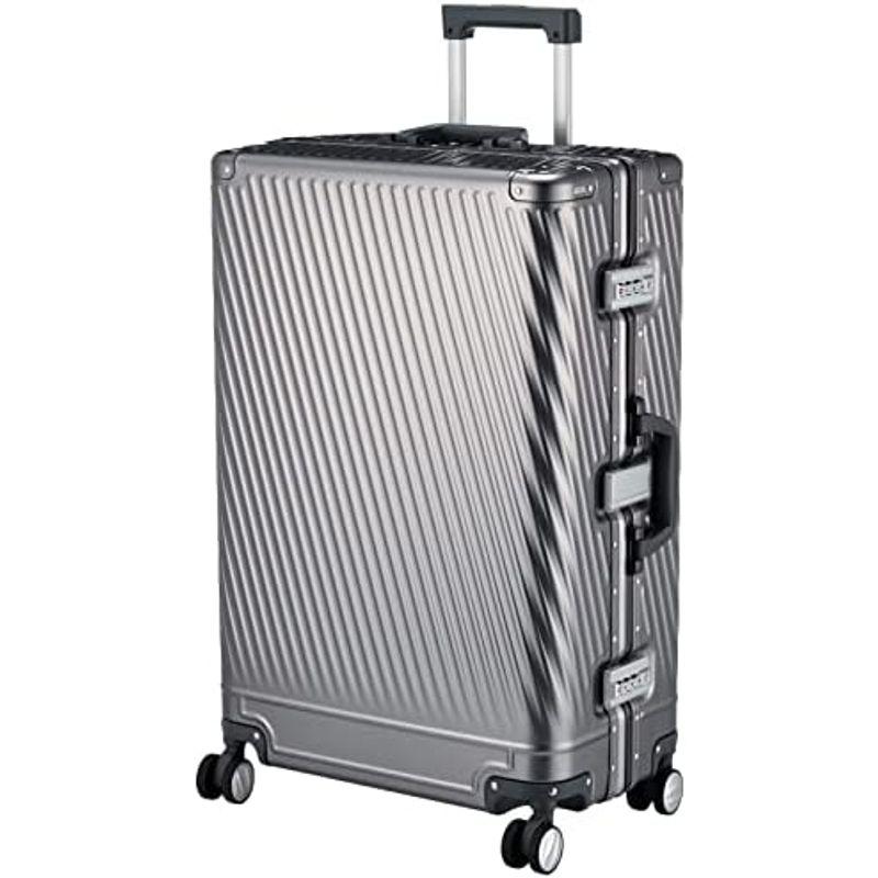 エース トーキョー スーツケース アルゴナム2-F 73L 5.6kg 5~7泊 双輪キャスター 66 cm シルバー