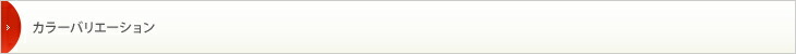 カラーバリエーション